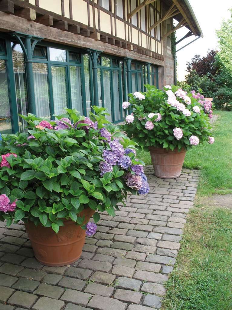 Der Linslerhof - Hotel, Restaurant, Events & Natur 우베르헨 외부 사진