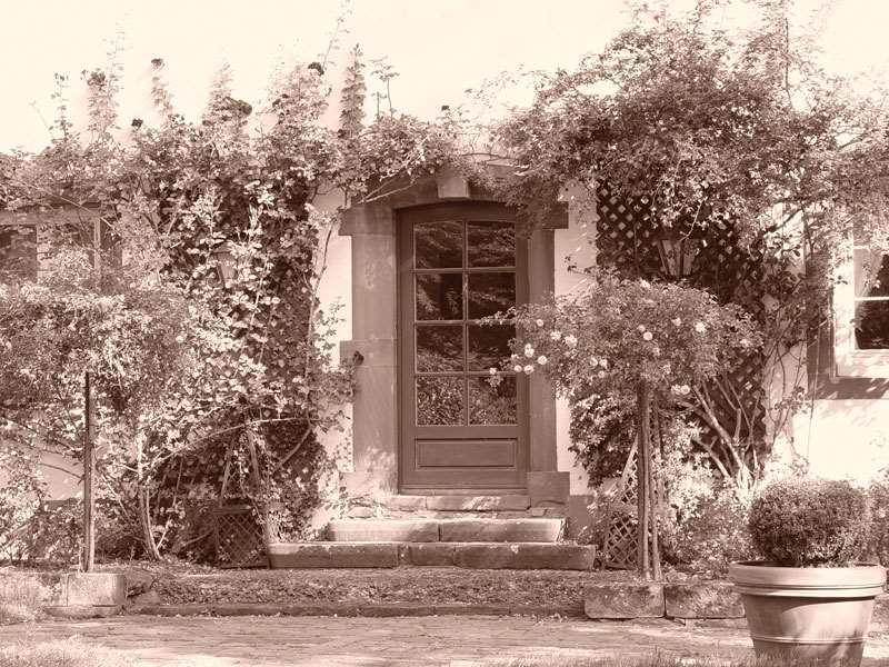 Der Linslerhof - Hotel, Restaurant, Events & Natur 우베르헨 외부 사진