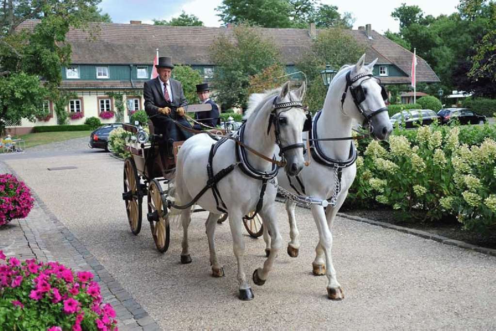 Der Linslerhof - Hotel, Restaurant, Events & Natur 우베르헨 내부 사진