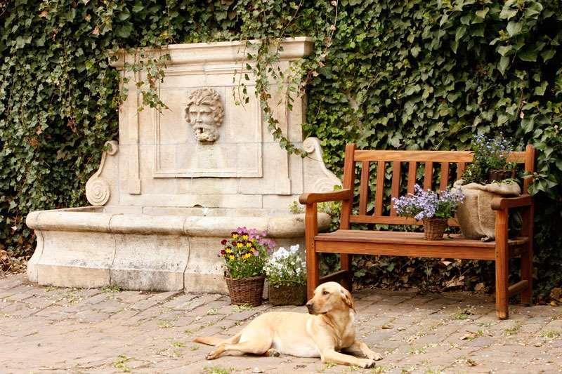Der Linslerhof - Hotel, Restaurant, Events & Natur 우베르헨 외부 사진